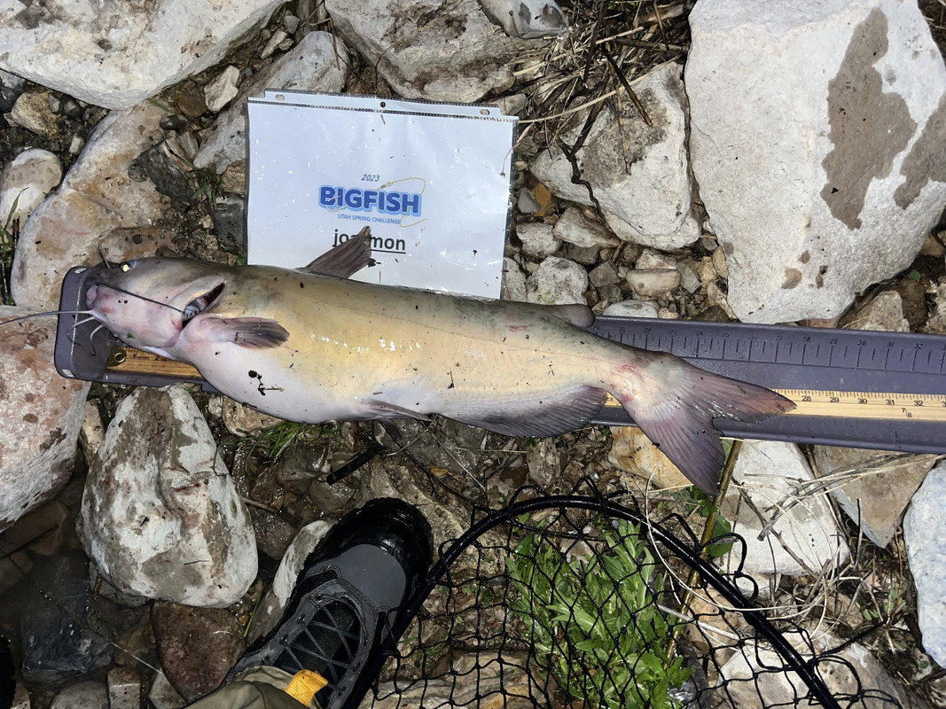 B93256A1-821B-448F-8F4E-7201579291BF