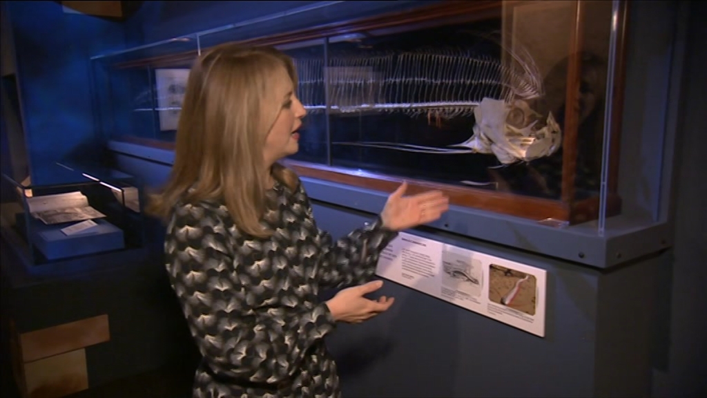 BBC London_20201210_13301345.ts_snapshot_12.34.310