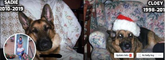 cccccccccc.jpg