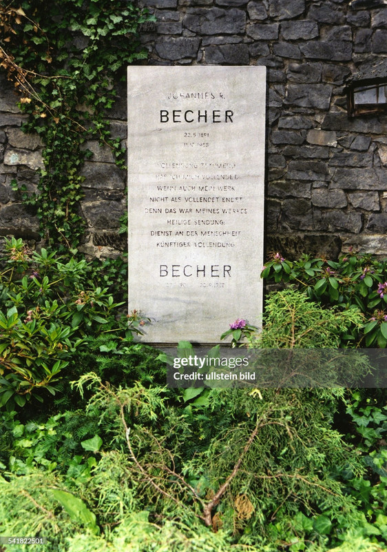 gettyimages-541822501-2048x2048
