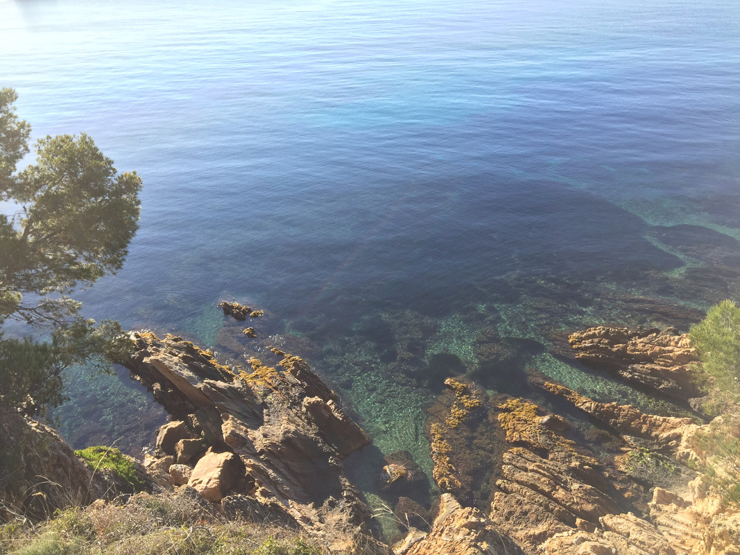 30A8B1B8-2624-43FD-B075-3BD3C8CA1110