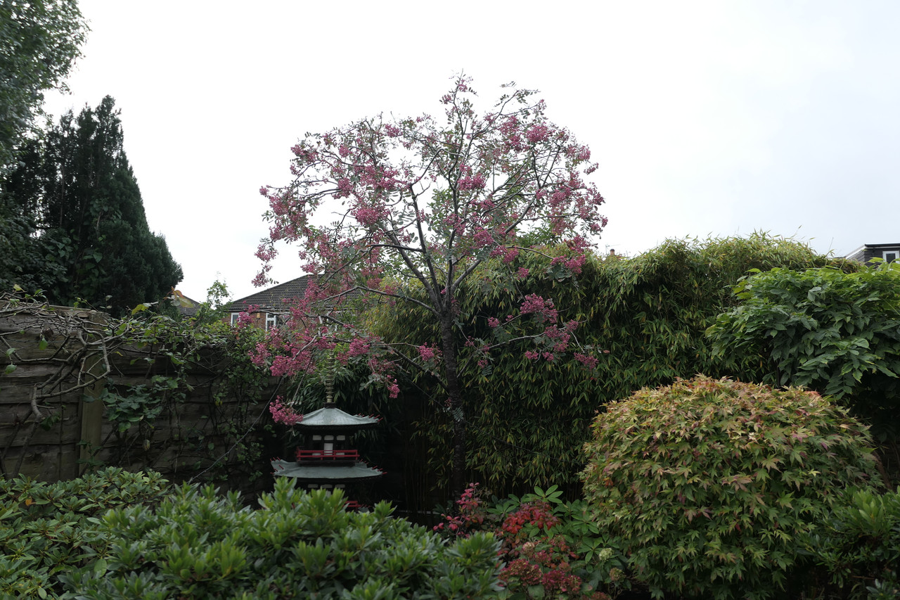P1050264