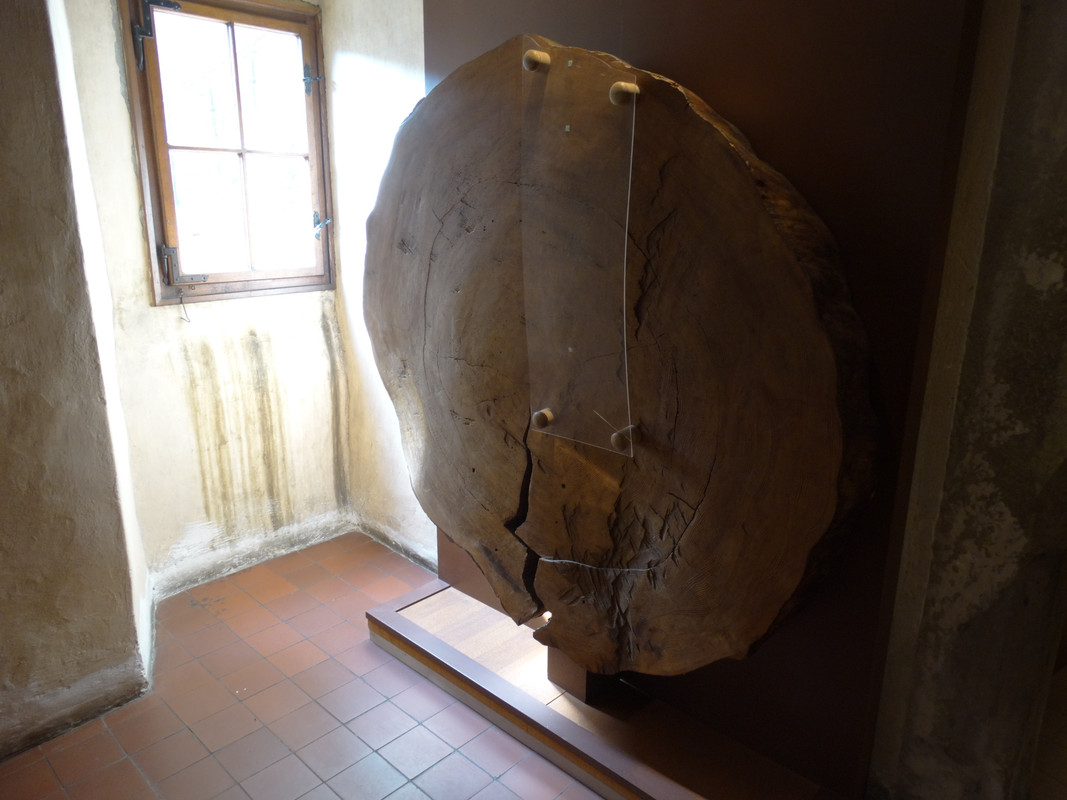 05.34 - DSC08180 (Czesio1)