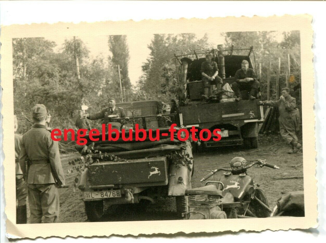FOTO - FRANKREICH Einsatz 1940 - Elsaß - FAHRZEUG - DIVISIONSWAPPEN K.G.z.b.V. 172