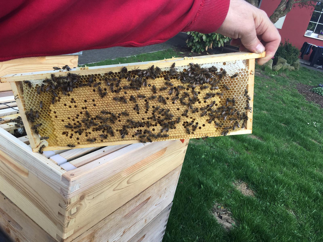 5FFFD990-B114-4981-9170-32836E0DB8A7