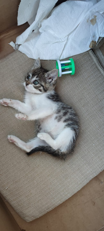 WhatsApp Image 2024-05-15 at 14.27.15