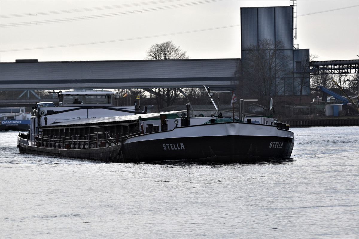 2022.01.28b2 STELLA (1940x1293)