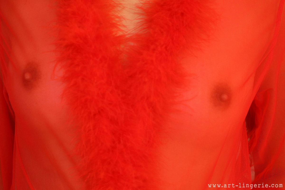 Summer Fox-0079