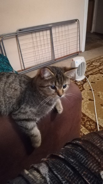 Мишель_19_10_4