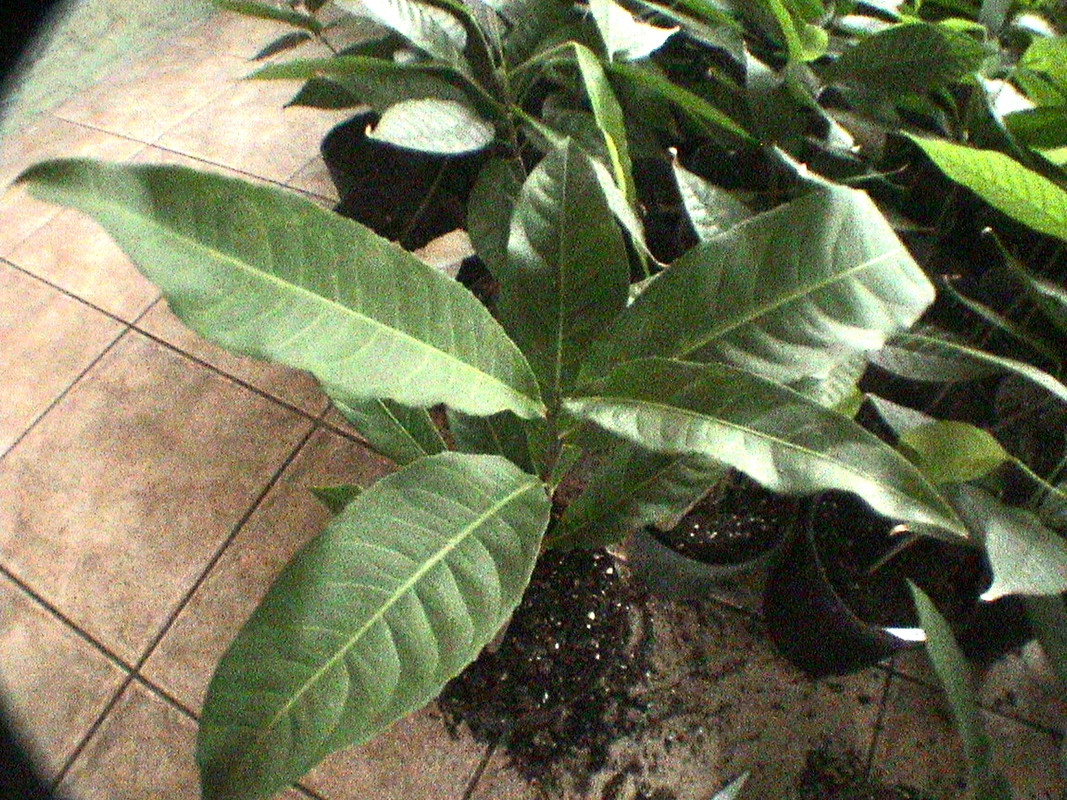 DSC01290