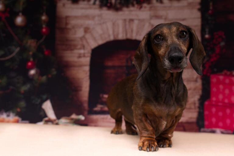 [Image: IMG-20241009-131703.jpg]