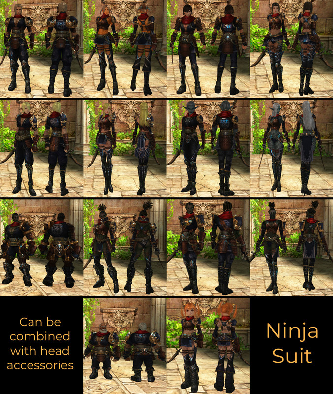 Ninja Suit