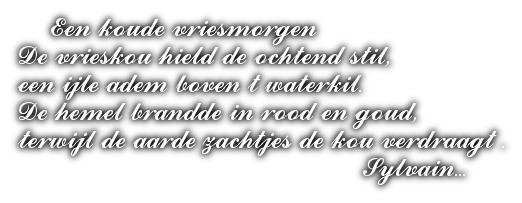 cooltext501202589390183