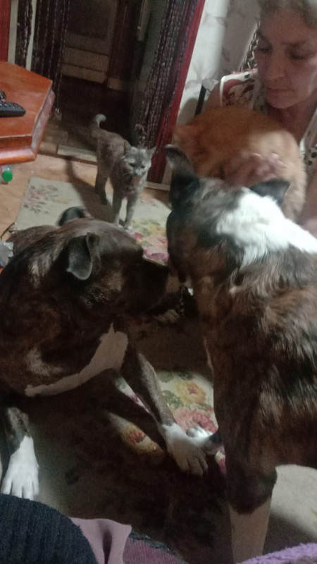 17B1FB75-C1B1-4CE1-A3D6-BE8305AE48C6