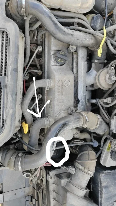 IMG 20260405 172853 888