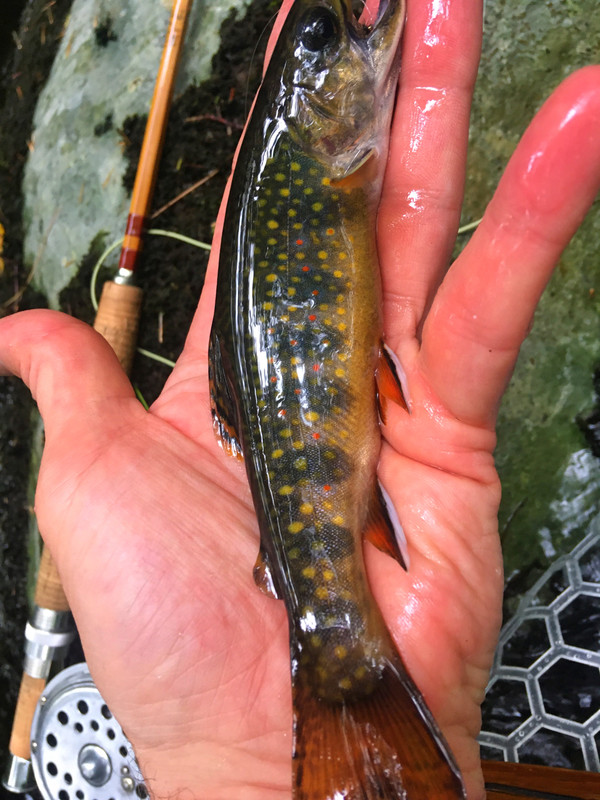 F3CF59B3-FA11-4C98-BA18-776DEB84E6AA