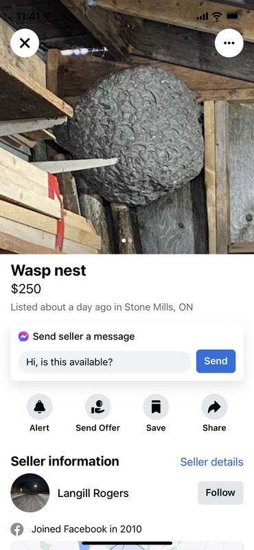 48E9E401-7BD5-48DF-8B21-56F70D597597