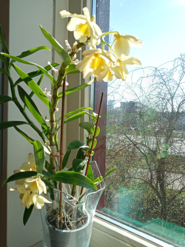 [Image: 20220309-114134.jpg]