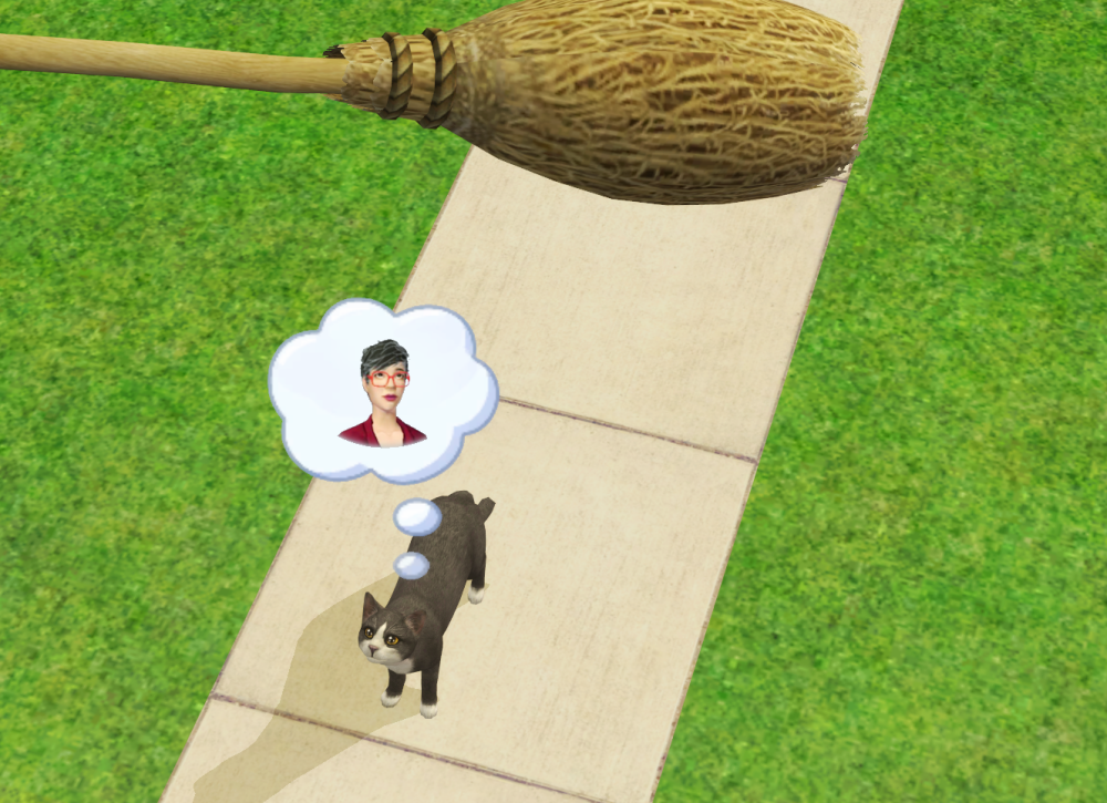 Sims2-EP9-RPC-2021-11-16-20-10-08-88