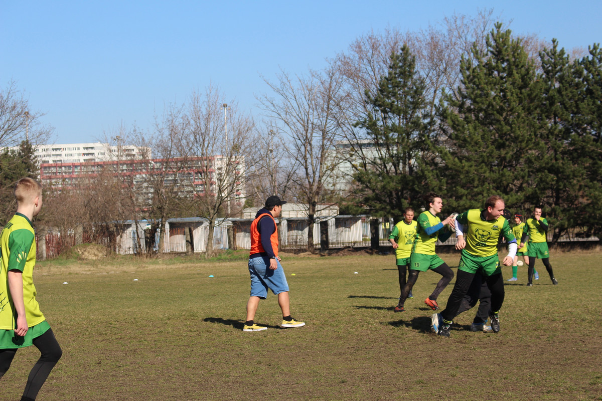 IMG-5208