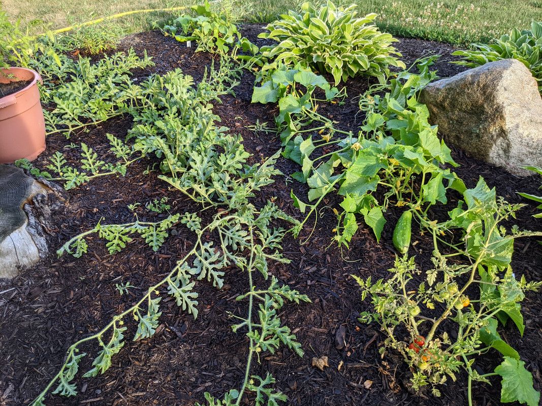 PXL_20220720_232227009