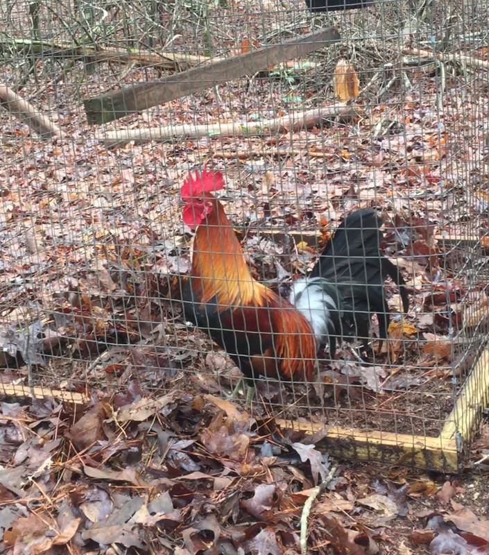 84877752-1F85-436F-8B5F-289857AF8EE6