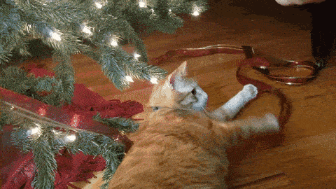32.gif
