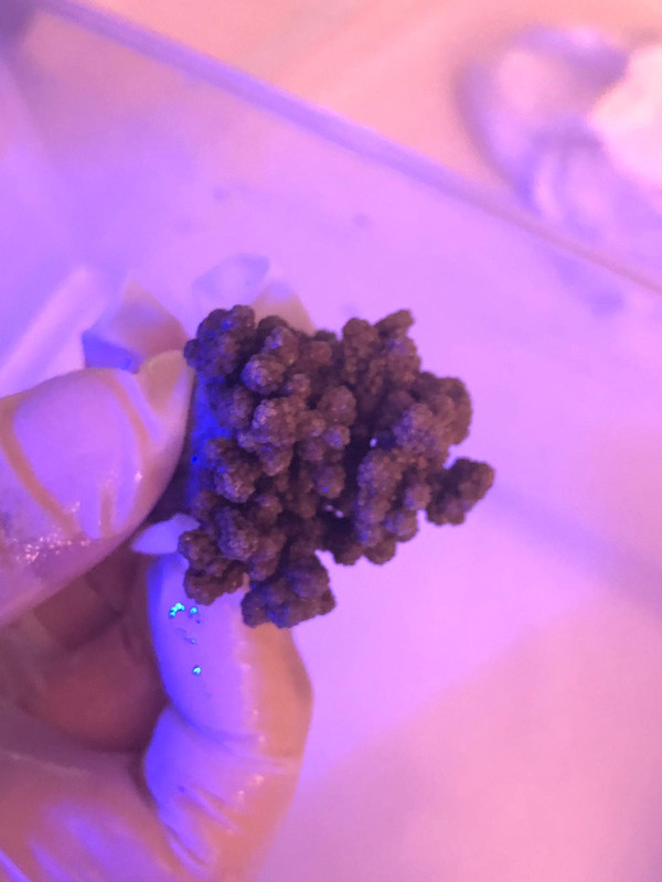 AFC011FA-8AA0-4E5E-93EF-F7E1ECDEE56F