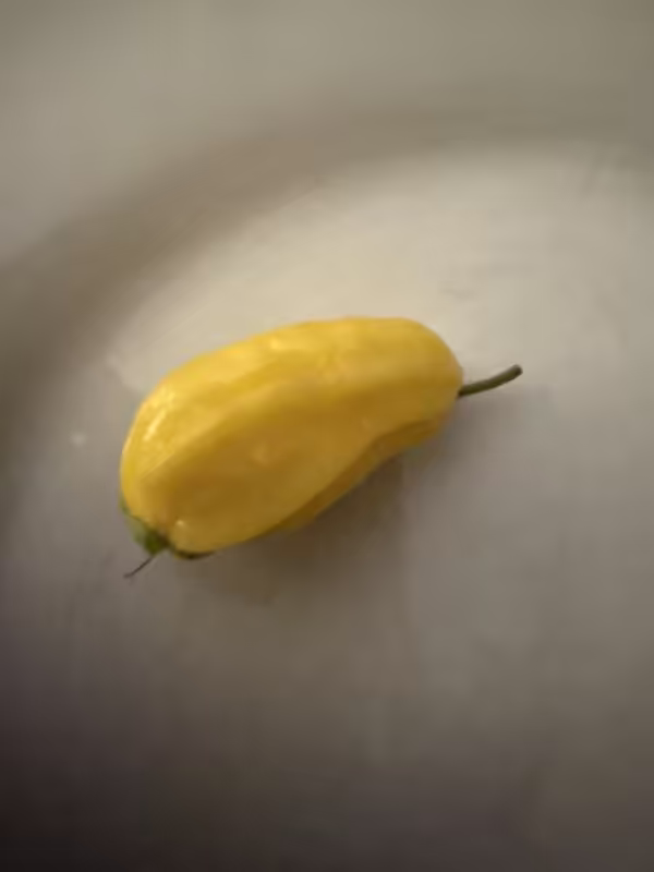 tempImageymvMTa