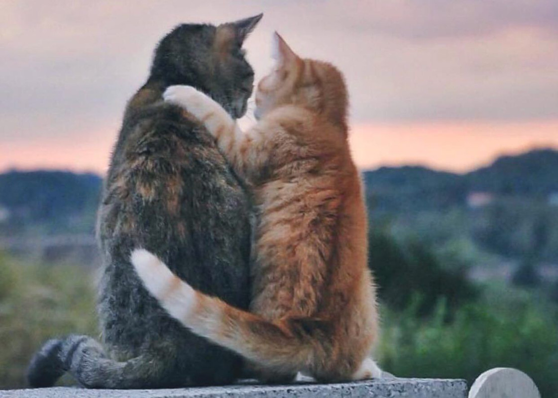 32720E25-4A4D-4309-A3A7-44A5D9152378