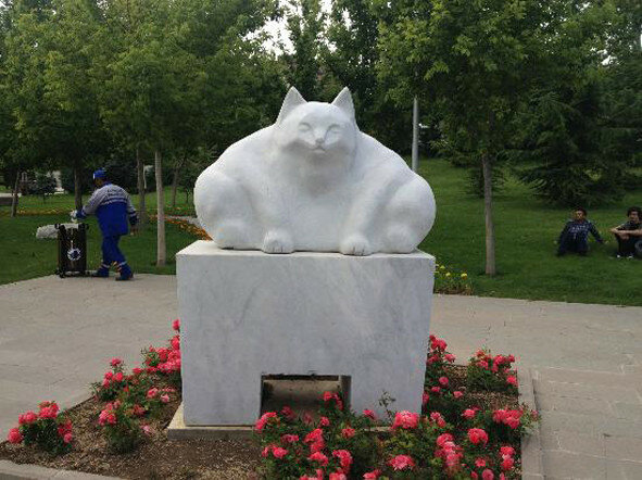 115832873-Pam-Kot-Turciya-Ankara-Tolstuyy-Kot-STablichkoy