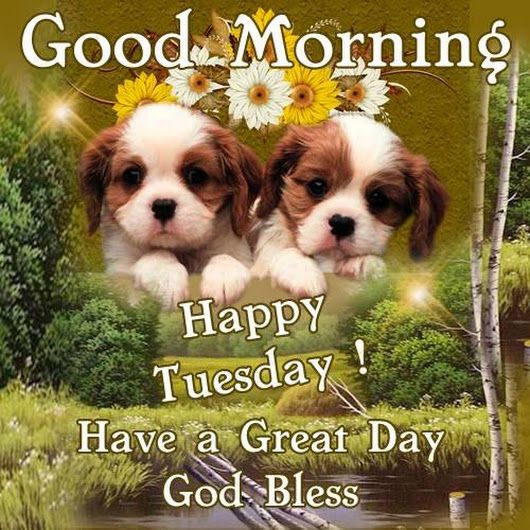 Good Morning, Good Afternoon, Good Evening, Good Night, Good Day! (#2)
