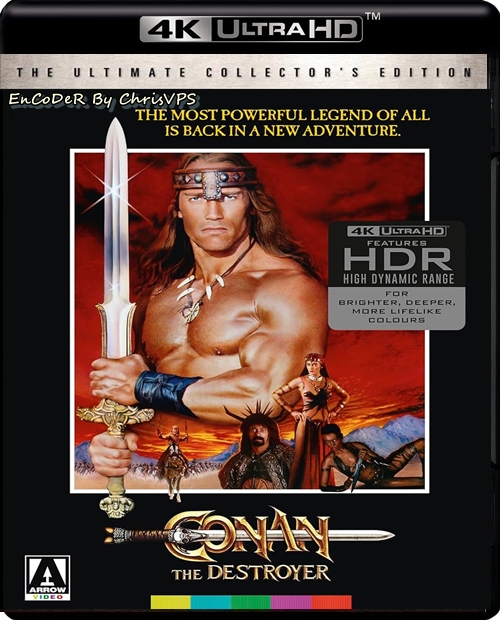 Conan Niszczyciel / Conan the Destroyer (1984) MULTI.Arrow.HDR.DoVi.Hybrid.2160p.BDRemux.TrueHD.7.1.Atmos.AC3-ChrisVPS / LEKTOR i NAPISY