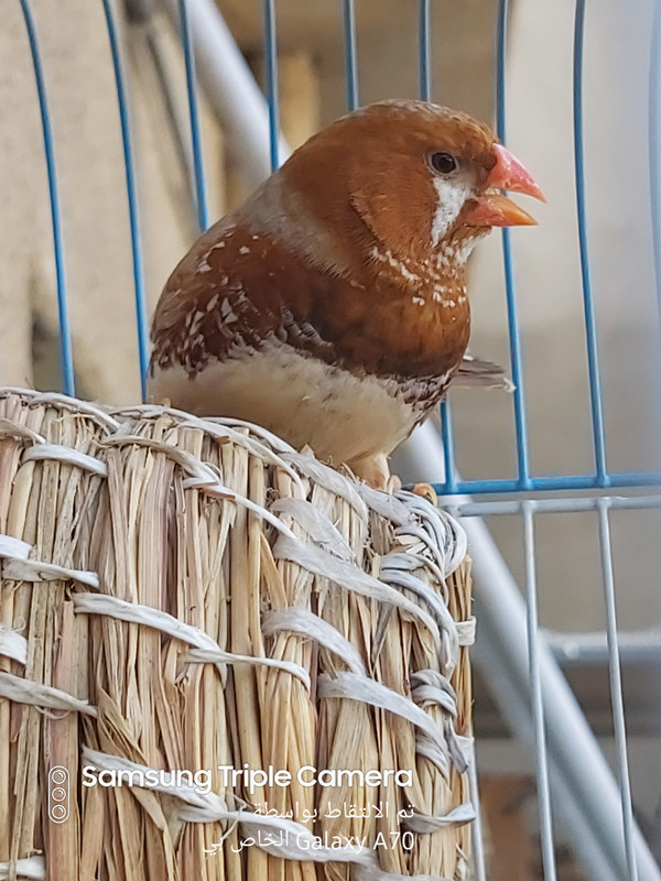 ٢٠١٩١٠١١_١٤٥٨٥١