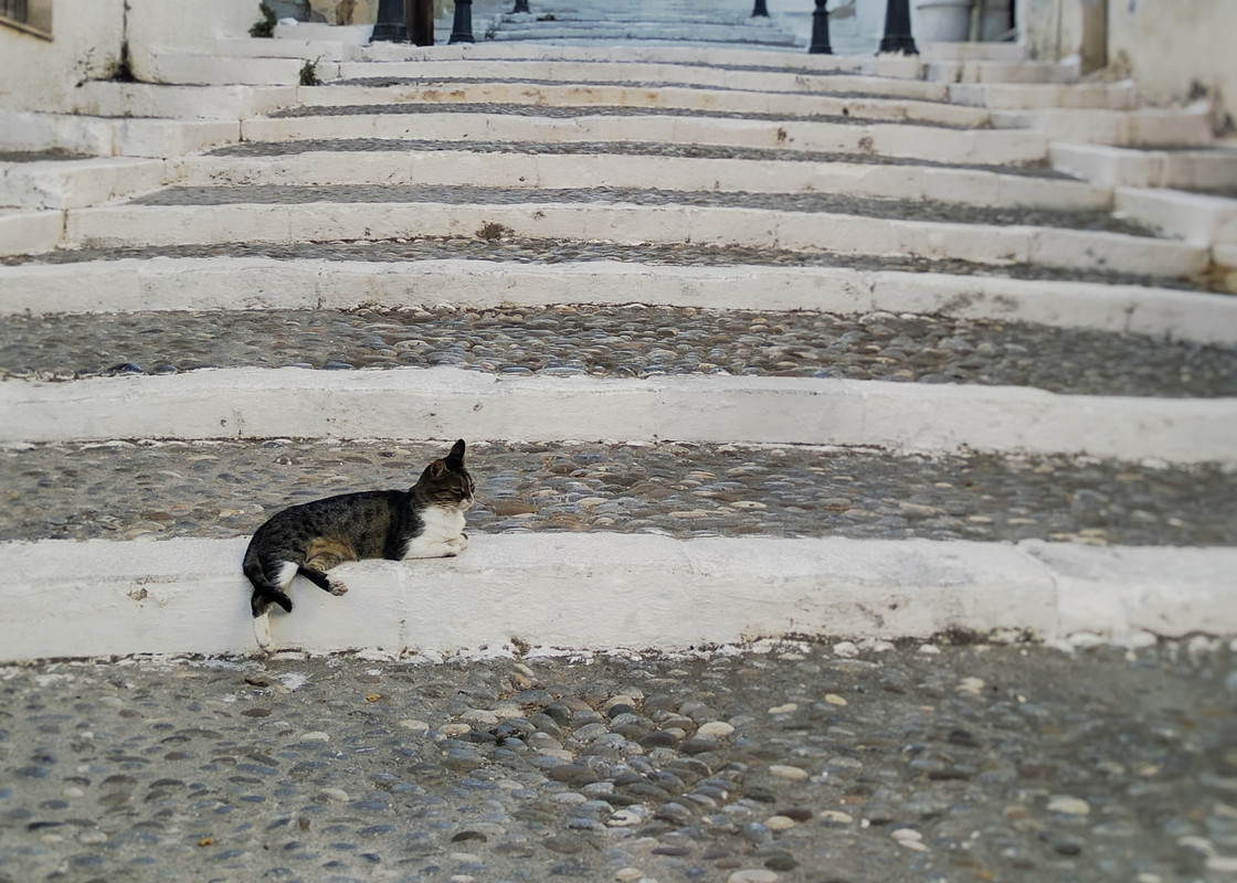 things to do in Sitia crete
