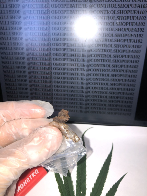 CC0CEA54-D574-45FB-A287-72A69262AD07