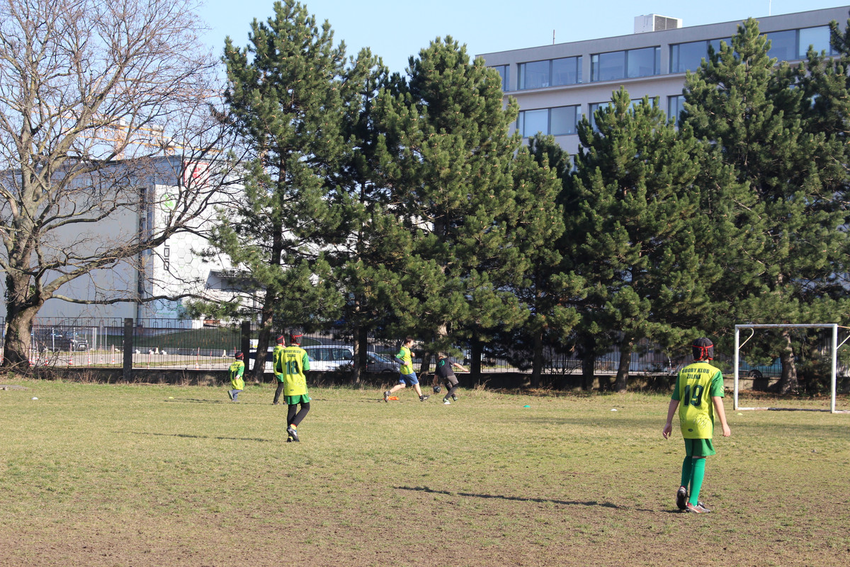 IMG-5349