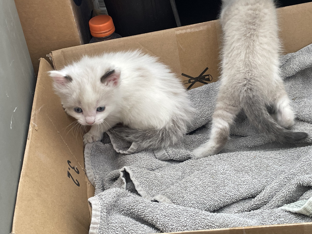 BC48E183-A349-4780-87F8-B95A7CF63FA7