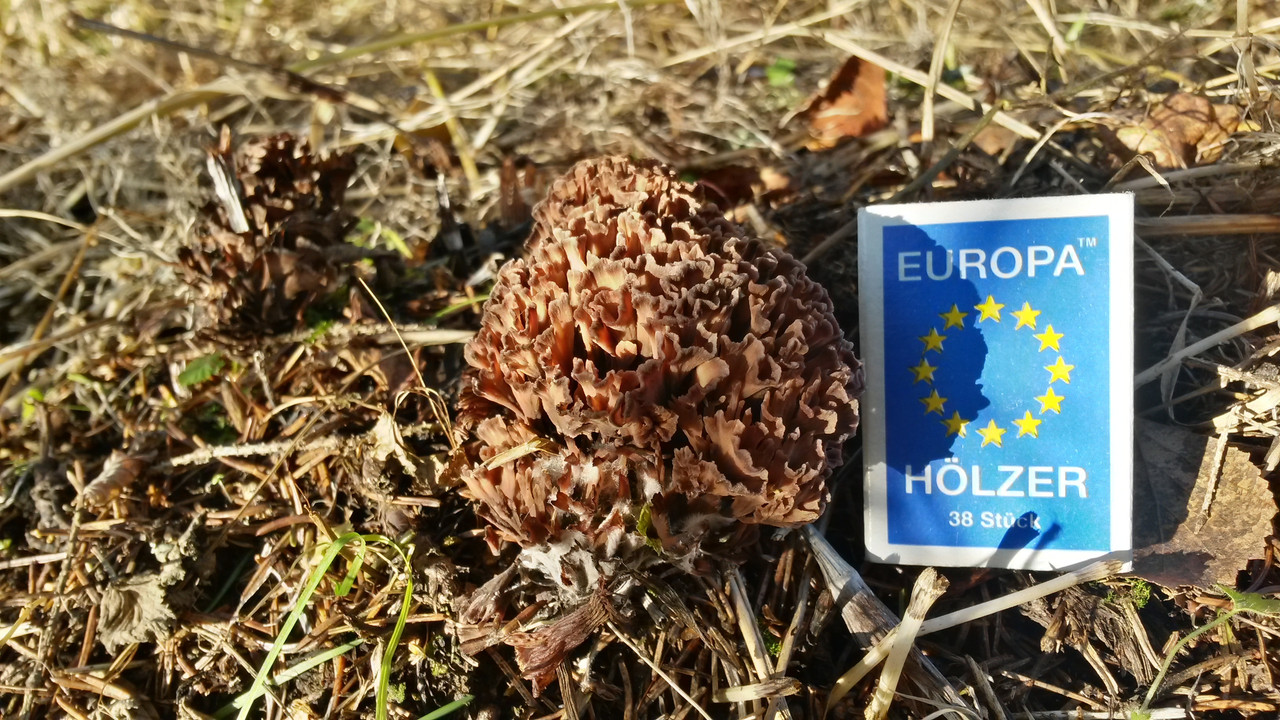 20141015_145520_Richtone(HDR)