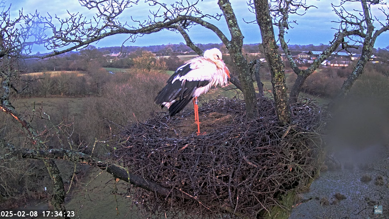 Screenshot 2025-02-08 173549