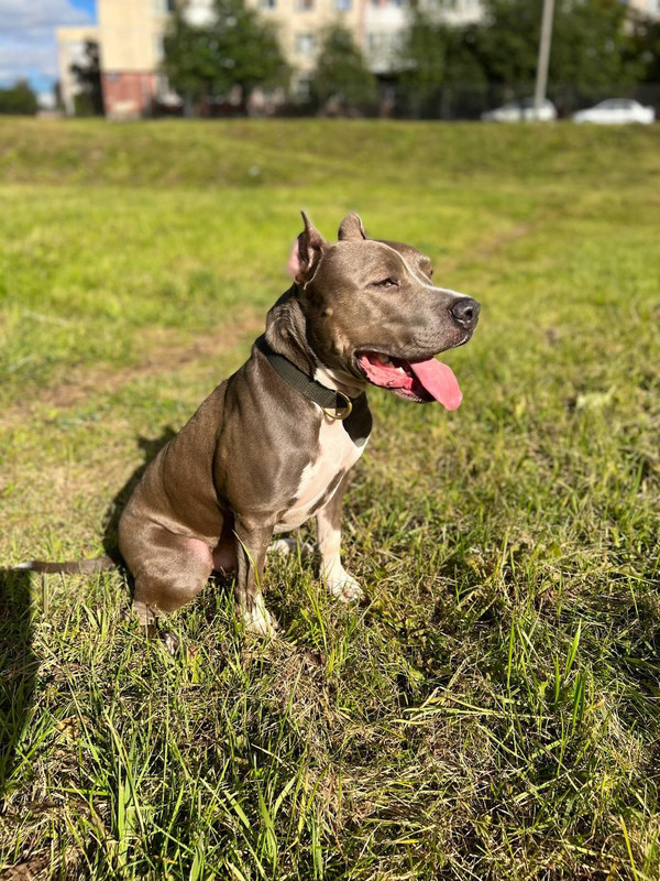 E5612B65-301C-43B3-998C-82F4BF85CDB7