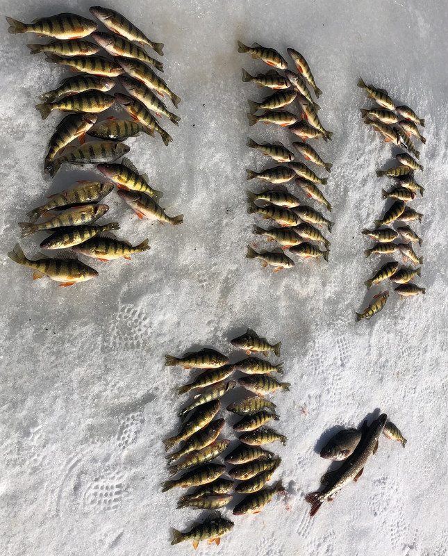 DD83D4D2-C1C2-446F-87A7-52139907BA01