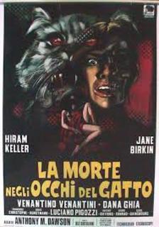 La morte negli occhi del gatto (1973).mkv BDRip 576p x264 AC3 iTA-ENG