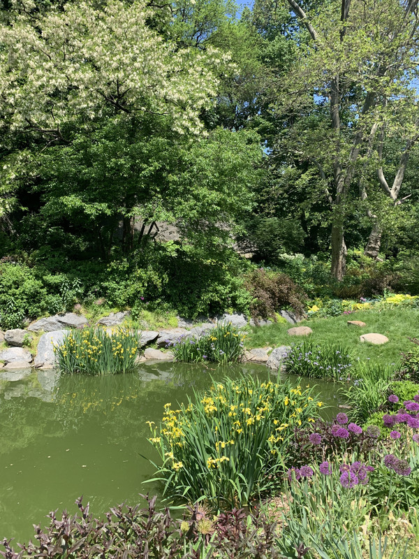 42A905CC-12EC-41D1-A909-FE32DA0ED02E