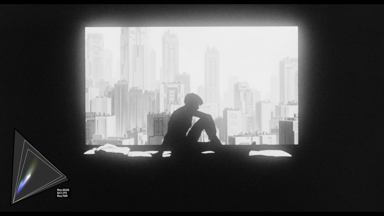 gits_hdr_12_gamutmap_aHDR (US)