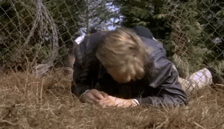 https://i.postimg.cc/RVsmH4md/8.gif