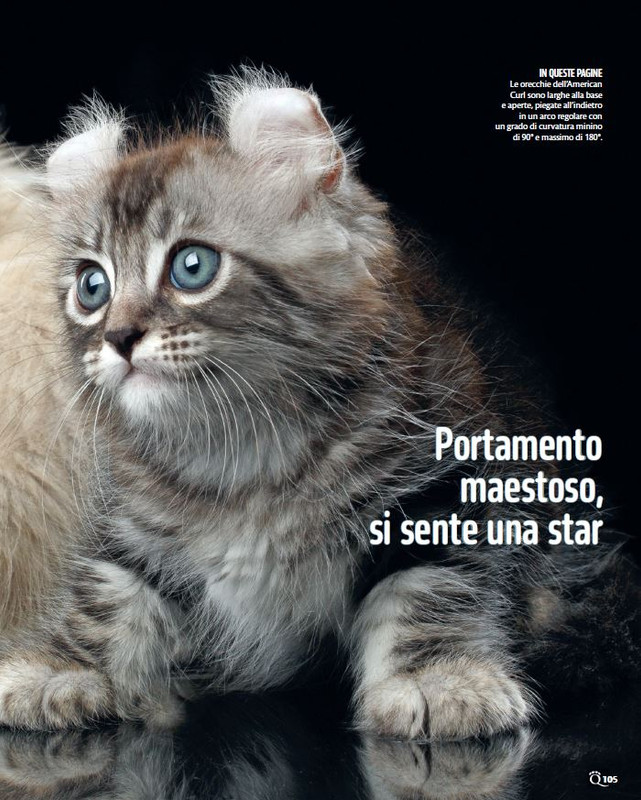 QuattroZampe Feb 2025 (12)