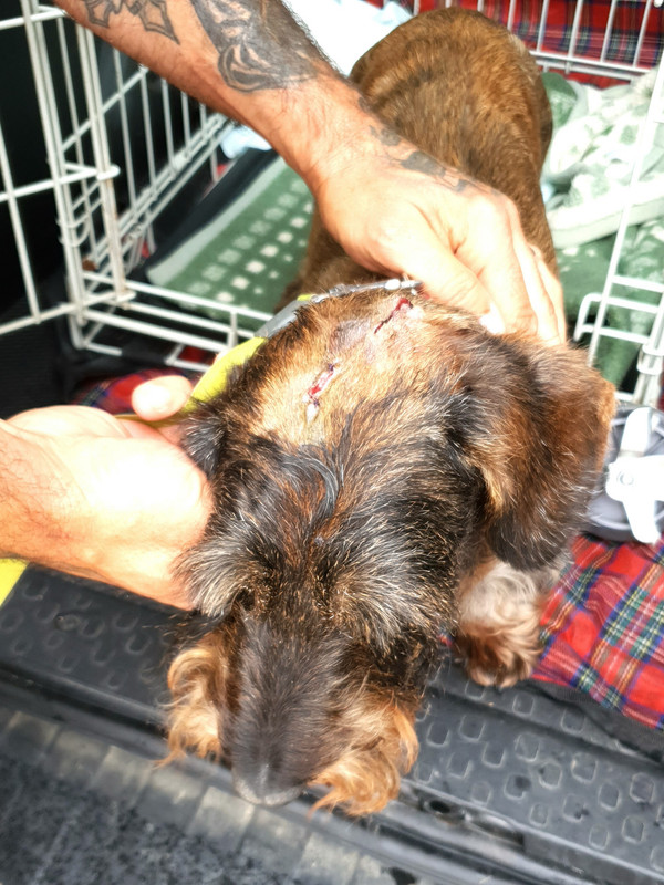 [Image: 20210805-201852.jpg]