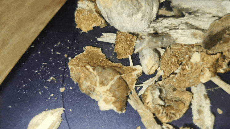 GIF-20260703-082929-370.gif