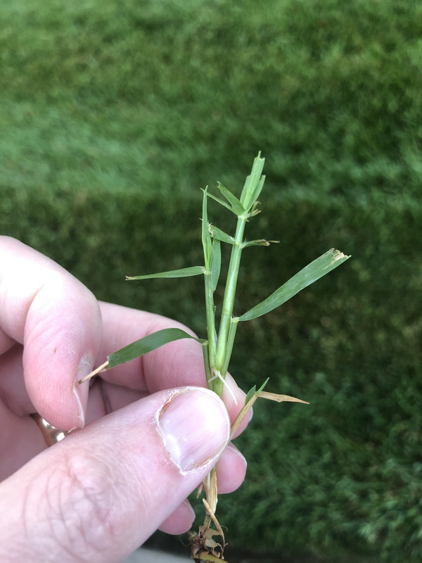 AAE6AE05-A644-422D-B1AA-530B4BFB6BE1